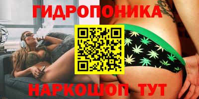 a pvp Заводоуковск