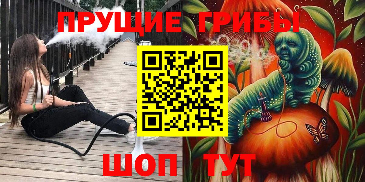 Камень-на-Оби  Псилоцибиновые грибы MAGIC MUSHROOMS  Вход с VPN  Псилоцибиновые грибы Magic Shrooms 