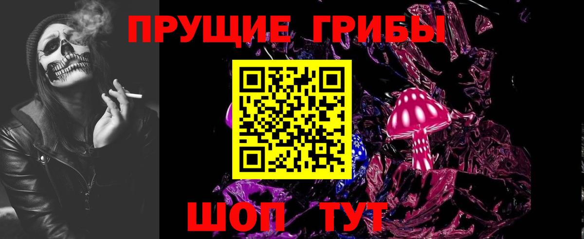Псилоцибиновые грибы GOLDEN TEACHER Камень-на-Оби
